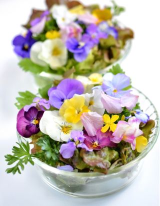 Ποικιλία συνδυασμού φυτών με βρώσιμα λουλούδια -  - σπόροι