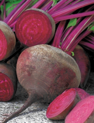 סלק "נפוליאון" - צבע מוקדם, בצבע שווה - 250 זרעים - Beta vulgaris