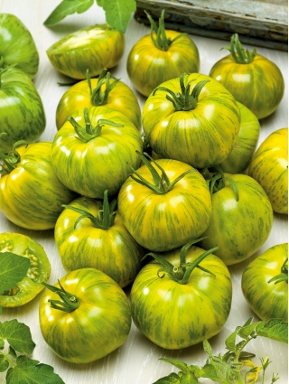 Tomate "Smarald" - grün, Zebratyp