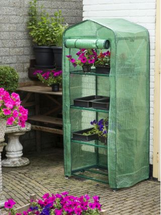 One-sided greenhouse with 4 shelves - 49 x 69 x 160 cm