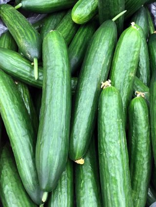 Salad cucumber 'Topaz' - for cultivation under covers