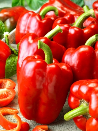 Pepper "Granova" - pole, zelenožltá odroda, ktorá sa pri zrení zmení na červenú - 70 semien - Capsicum L. - semená