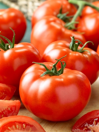 Tomato "Tolek" - large fruit, can be peeled without blanching