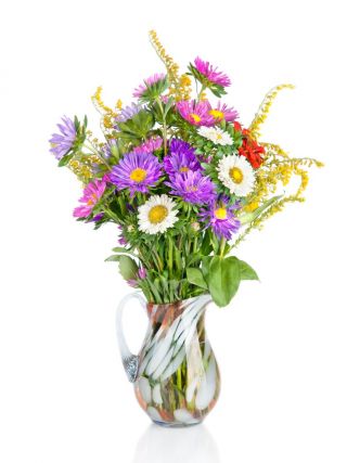 אסטרס - תערובת מגוונת לפרחים חתוכים - 500 זרעים - Callistephus chinensis