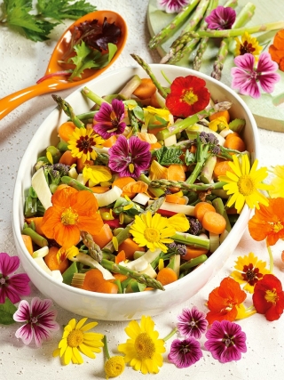 Hierbas comestibles y flores mezcla semillas - 