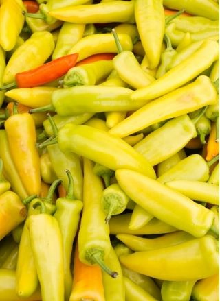 Hungarian Wax Pepper seeds - Capsicum annuum - 70 seeds