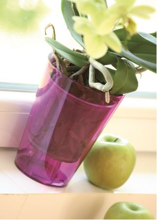 Vaso di fiori di orchidea - Coubi - 13 cm - Viola - 