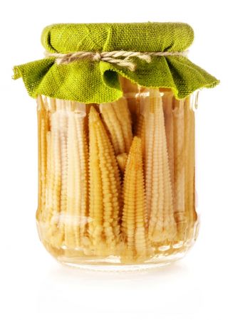 Kukurica cukrová "Minigold"; Cukor, kukurica - Zea mays convar. saccharata var. Rugosa - semená