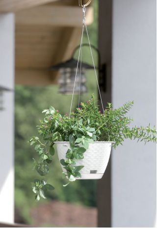 Hanging flower pot with saucer - Ratolla - 24 cm - White