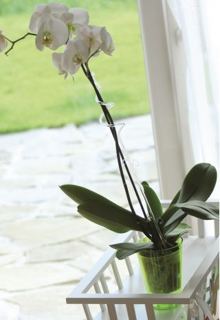 Саксија за цветове орхидеја - Куби - 13 цм - Зелена - 