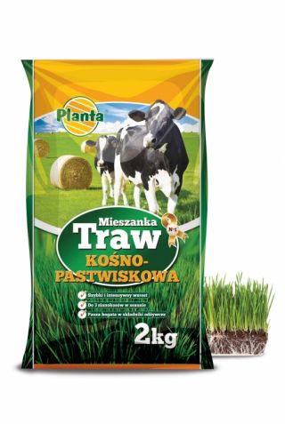 Selezione di erba di fieno e pascolo - prato senza specie di Fabacecae - B2 - 2 kg -  - semi
