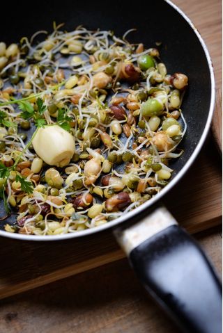 Sprouting seeds - stir-fry mix