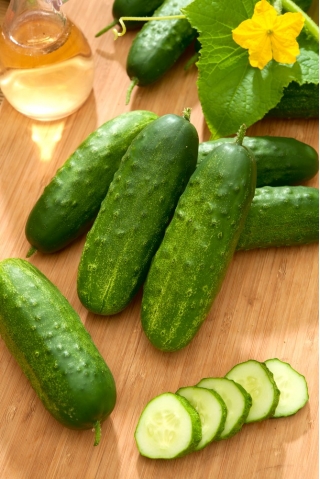 Cucumber 'Orpheus F1' - a parthenocarpic variety - 500 seeds - professional seeds for everyone