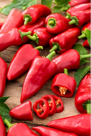 Pepper 'Beja F1' - 100 seeds - professional seeds for everyone