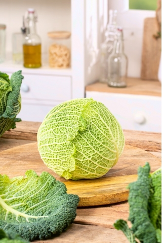 Savoy cabbage 'Entira F1' - 2500 seeds - professional seeds for everyone