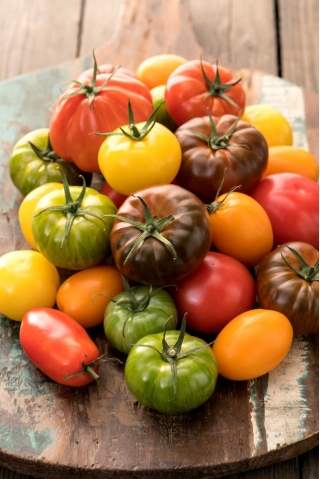 Tomato variety mix for growing in the field