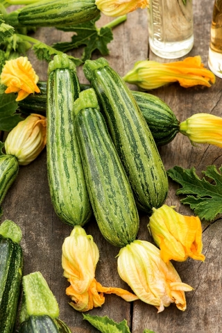 Zucchine Lajkonik, zucchine - 100 grammi - 