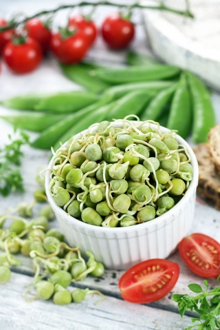 Sprouting seeds - Pea - 500 g