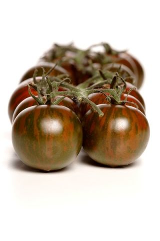 Tomato Black Cherry seeds - Lycopersicon esculentum - 60 biji - Lycopersicon esculentum Mill  - benih