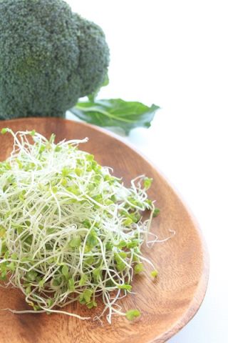 Brokoli Sprouts - Brassica oleracea - semena