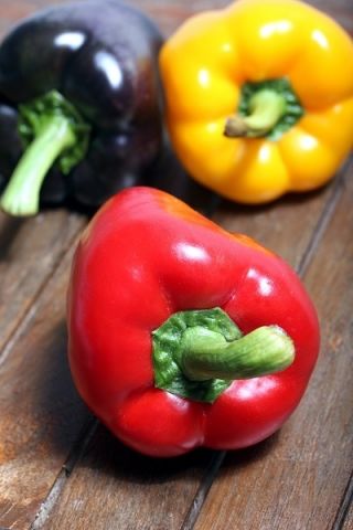 Sød peber blandet frø - Capsicum annuum