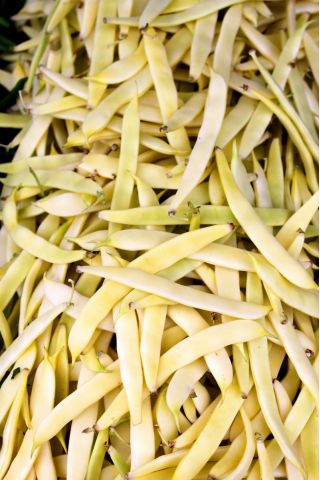 Φασόλι "Supernano Giallo" - μια συνηθισμένη ποικιλία φασολιών νάνου - 25 σπόρους - Phaseolus vulgaris L. - σπόροι