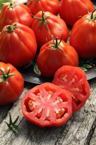 Високи домати "Червена круша" - 120 семена - Lycopersicon esculentum Mill 
