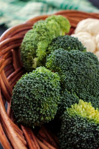 Brokoli "Sebastian" - varietas awal untuk pertumbuhan musim semi dan musim gugur - 300 biji - Brassica oleracea L. var. italica Plenck