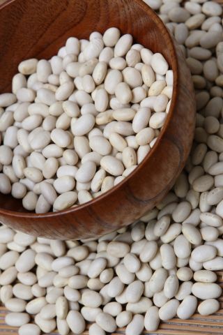 Kacang "Felicja" - varietas putih untuk biji, tidak perlu dipertaruhkan - Phaseolus coccineus