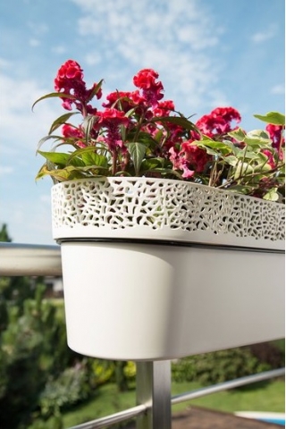 "Rosa" mesh balcony box with a lace-like finishing - 50 cm - light beige