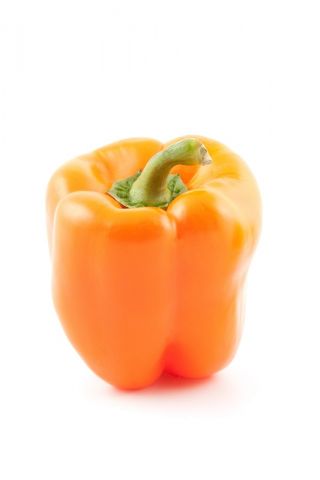 胡椒“ Kubista F1”-甜橙品种 - 