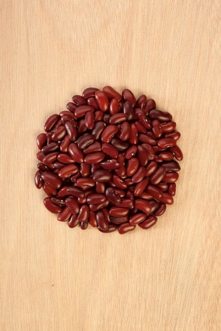Trpasličí fazuľa "Toska" - pre suché semená -  Phaseolus vulgaris - Toska