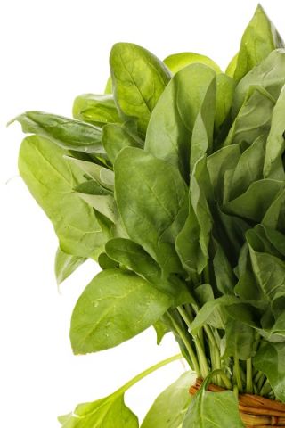 Spinach 'Winter Giant' - 500 g