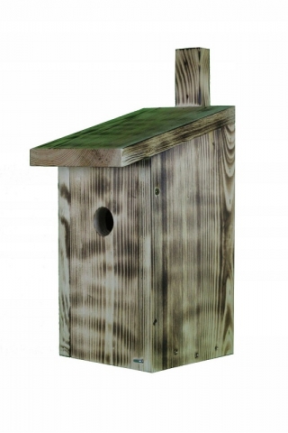خانه پرنده برای جوانان ، گنجشک های درخت و تخته نرد - چوب خراشیده - 