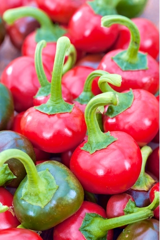 辣椒“Koral” - 非常热的品种，产生具有观赏价值的圆形水果--24粒种子 - Capsicum L. - 種子