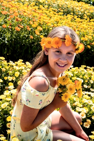 Happy Garden - "Whirling Marigold" - Bibit yang boleh dibesarkan oleh kanak-kanak! - 216 biji - Calendula officinalis - benih