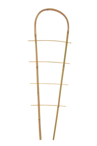 Rebrík na podporu rastlín z bambusu U - 45 cm - 