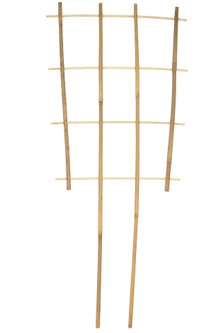 Escada de suporte para plantas de bambu S4 - 60 cm - 