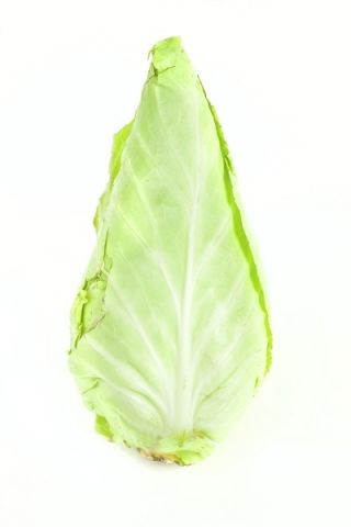 Chou Commun - Cuor di bue grosso - blanc - 210 graines - Brassica oleracea convar. capitata var. alba