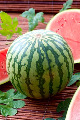 Watermelon "Moro"