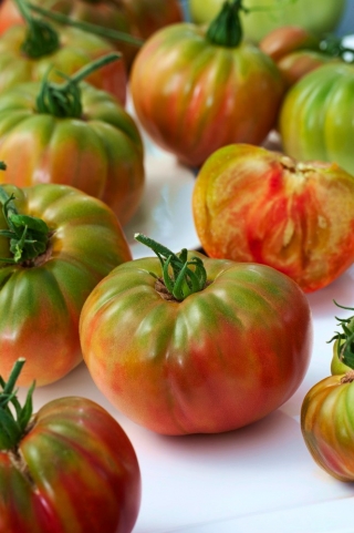 Pantano Romanesco BIO -tomaatti - pelto- ja kasvihuoneviljelyyn, erittäin korkea sato - sertifioidut luomusiemenet - 
