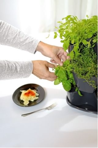 وعاء الأعشاب - كوبي - طقم مكون من 3 قطع - أبيض - 