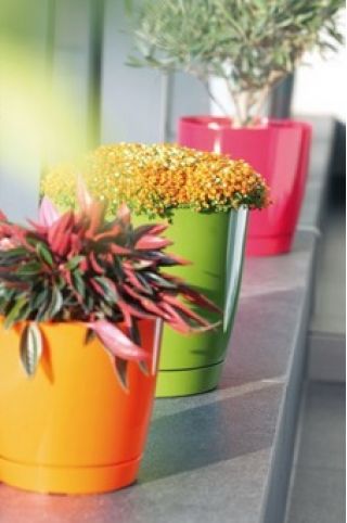 Pot bunga bundar dengan cawan - Coubi - 10 cm - Fuchsia - 