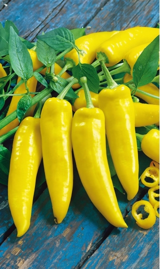 Перец - Hungarian yellow wax hot - 70 семена - Capsicum L.