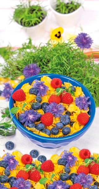 Ätbara blommor - Blå cornflower; ungkarls knapp - frön