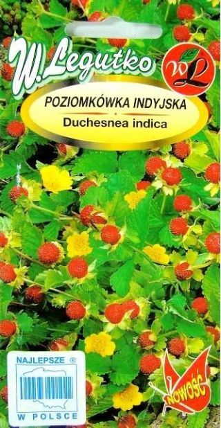 Моцк Стравберри, семена индијске јагоде - Дуцхеснеа индица - 250 семена - Potentilla indica