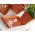 Tefat för utomhusblomkruka Agro - 65 cm - Terracotta - 