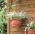 Висяща саксия за цветя - Агро - 27 см - Теракота - 
