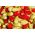 بذور الفراولة الصفراء للعجائب الصفراء - فراجاريا فيسكا - 320 بذرة - Fragaria vesca - ابذرة