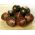 עגבניות שחור זרעי דובדבן - Lycopersicon esculentum - 60 זרעים - Lycopersicon esculentum Mill 